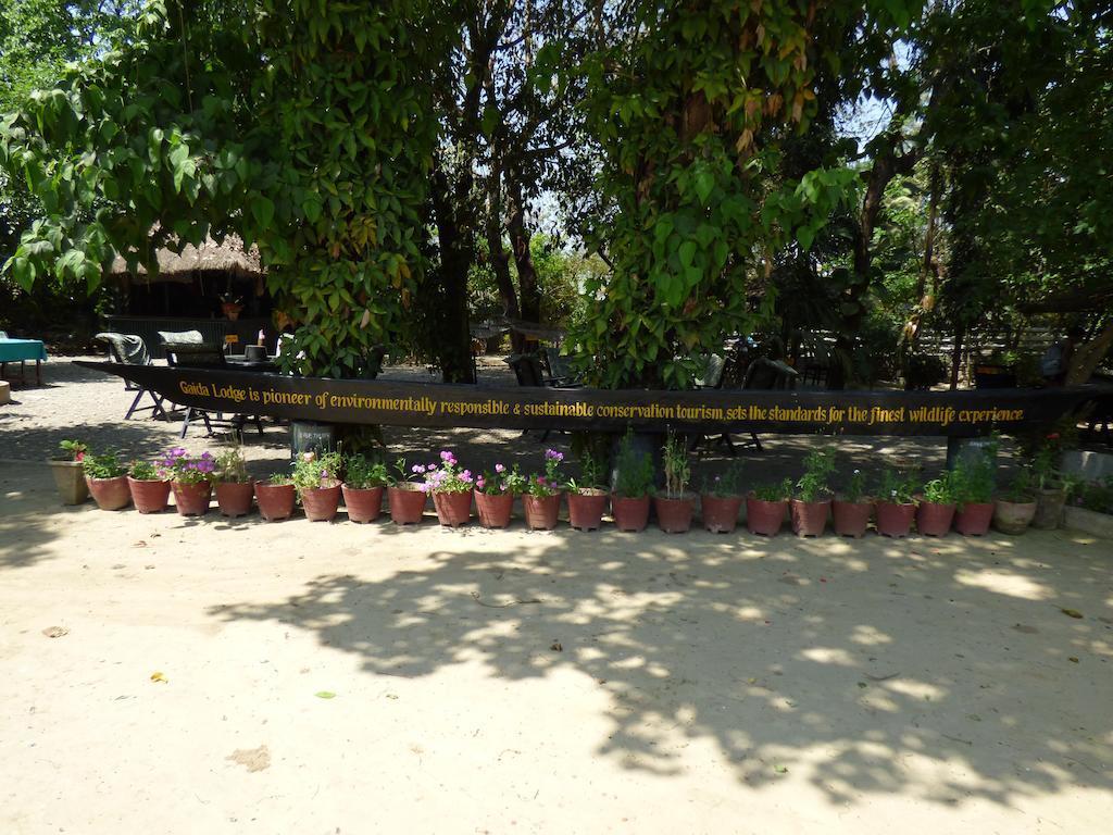 Chitwan Gaida Lodge Sauraha Exteriér fotografie