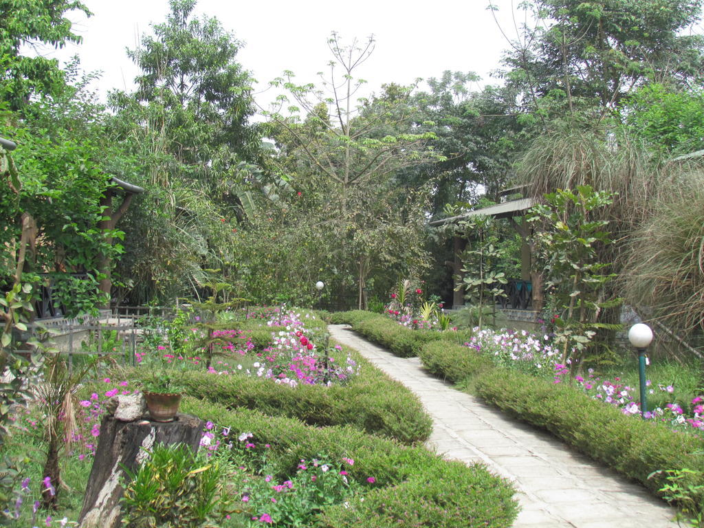 Chitwan Gaida Lodge Sauraha Exteriér fotografie