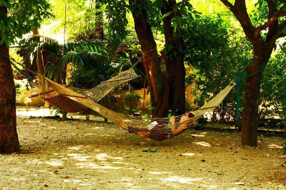Chitwan Gaida Lodge Sauraha Exteriér fotografie