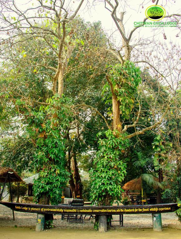 Chitwan Gaida Lodge Sauraha Exteriér fotografie