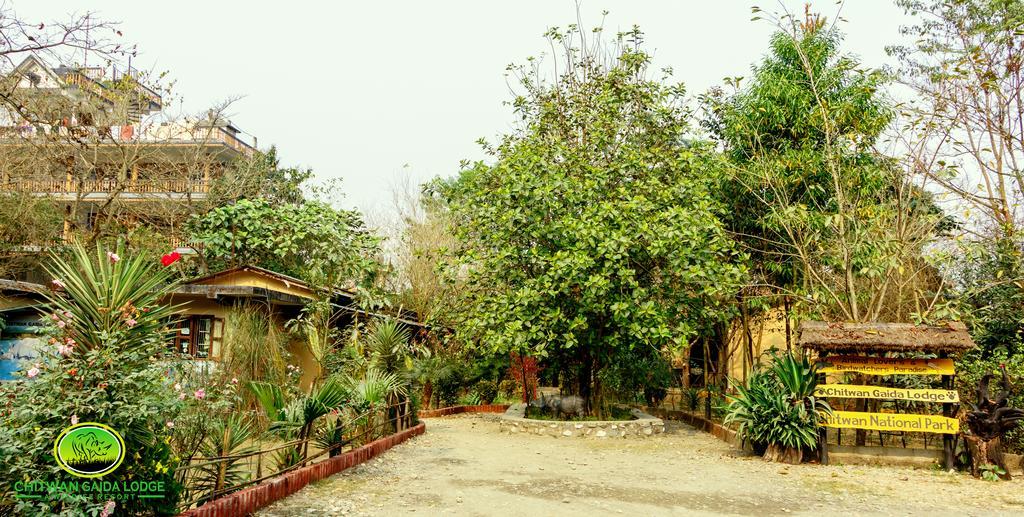 Chitwan Gaida Lodge Sauraha Exteriér fotografie