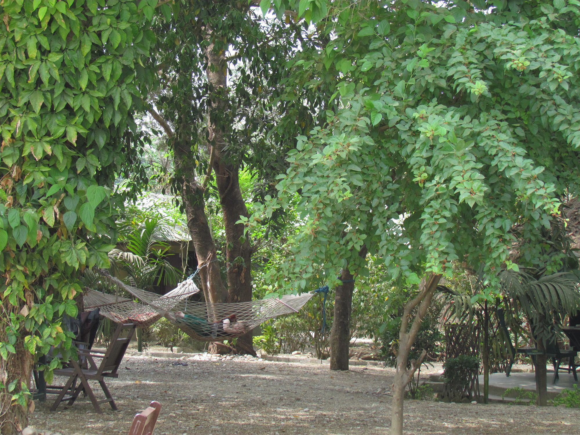 Chitwan Gaida Lodge Sauraha Exteriér fotografie