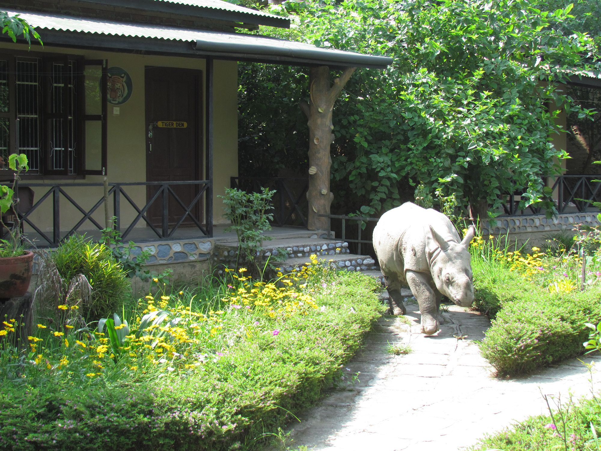 Chitwan Gaida Lodge Sauraha Exteriér fotografie